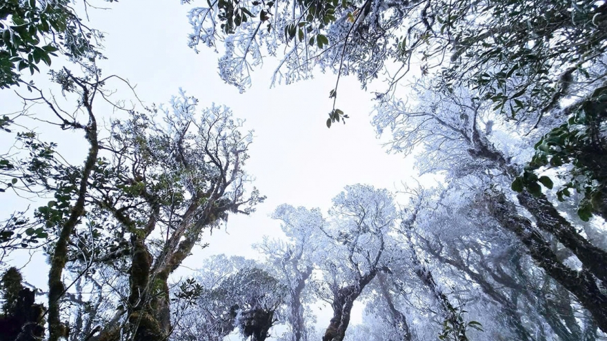 Frost surprisingly sets in up north in mid-March